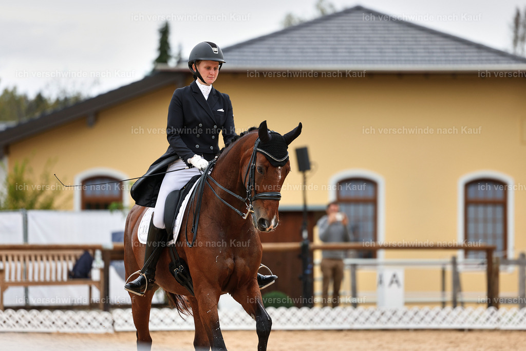 6-084-AMATUER-DRESSUR S_  -StoibPH-3562 | working equitationturnier fotograf videograf stoibphotography marixx film working equitation deutschland reitsport turnierfotografie eventfotografie equestrian events