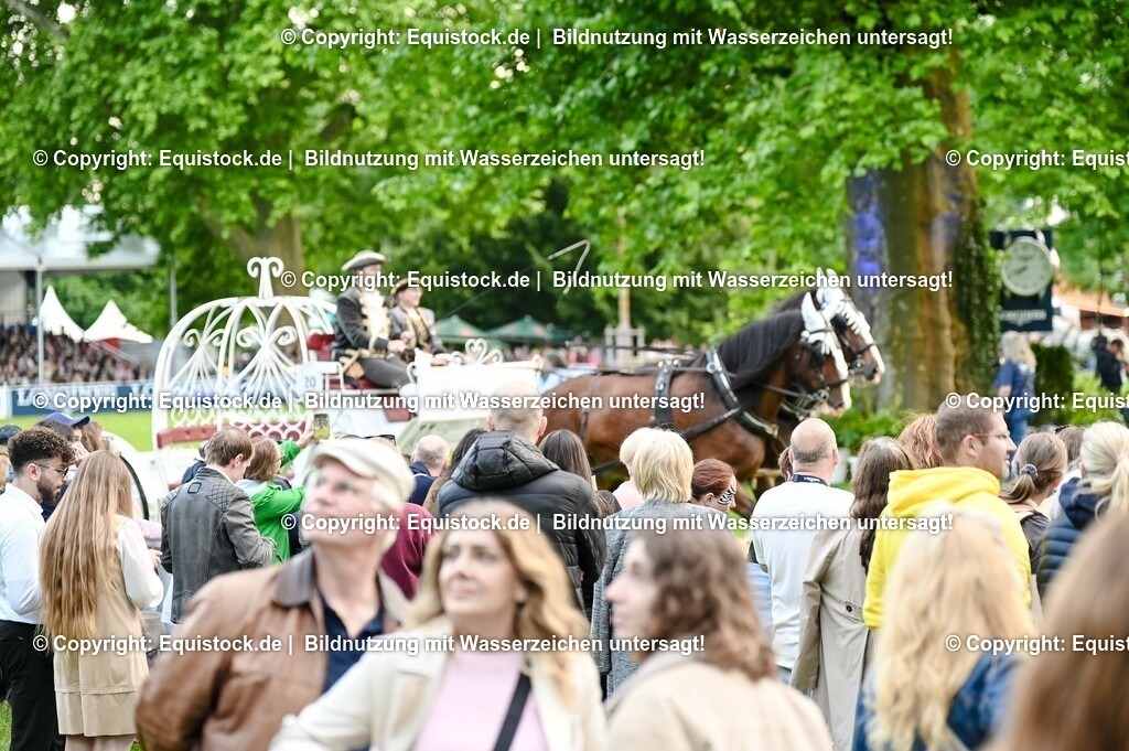 20250606_Lange-Pferdenacht_0238 | Foto: Thomas Hartig