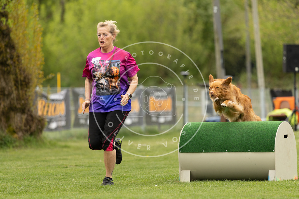 Pfotenfotografie_DV3A9101 | Hundefotografie, Tierfotograf, Pfotenfotografie, Fotoshooting Hund, Hunde Portrait, Hundesport, Hundeportraits, Heideshooting, Hunde, Sportfotograf, Hundefotograf, Turnierhundsport, THS,  - Realisiert mit Pictrs.com