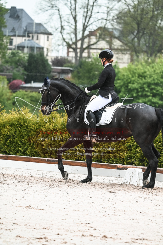 DSC_4493 | Pferde- und Turnierfotografie in Westsachsen. Pferdeportraits, Auftragszeichnungen und intuitive Kunst.