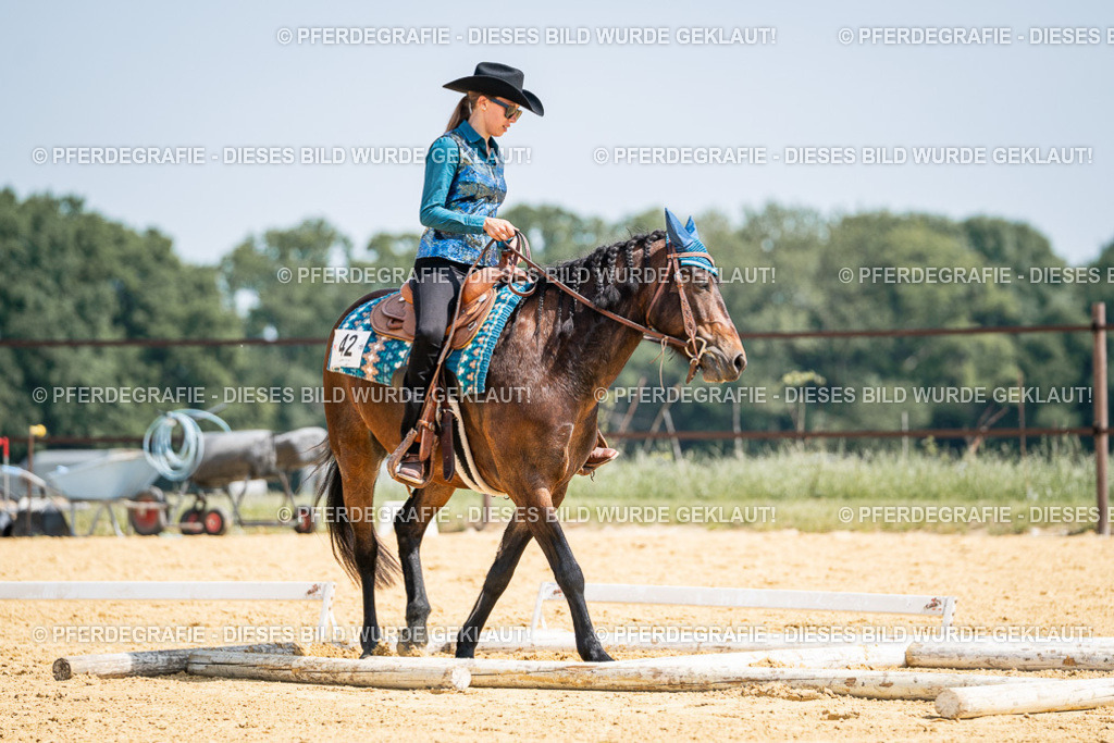 DSC00710 | Pferdegrafie