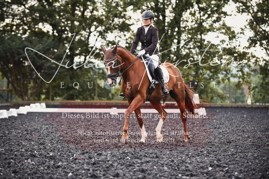 DSC_4002 | Pferde- und Turnierfotografie in Westsachsen. Pferdeportraits, Auftragszeichnungen und intuitive Kunst.
