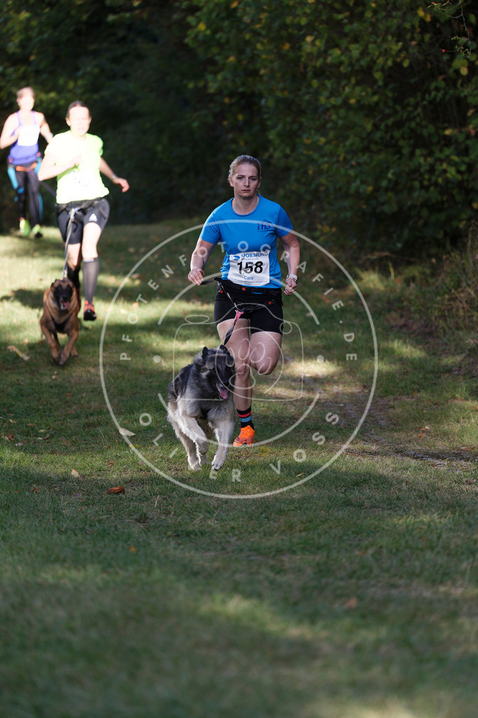 0L8A5190 | Hundefotografie, Tierfotograf, Pfotenfotografie, Fotoshooting Hund, Hunde Portrait, Hundesport, Hundeportraits, Heideshooting, Hunde, Sportfotograf, Hundefotograf, Turnierhundsport, THS,  - Realisiert mit Pictrs.com