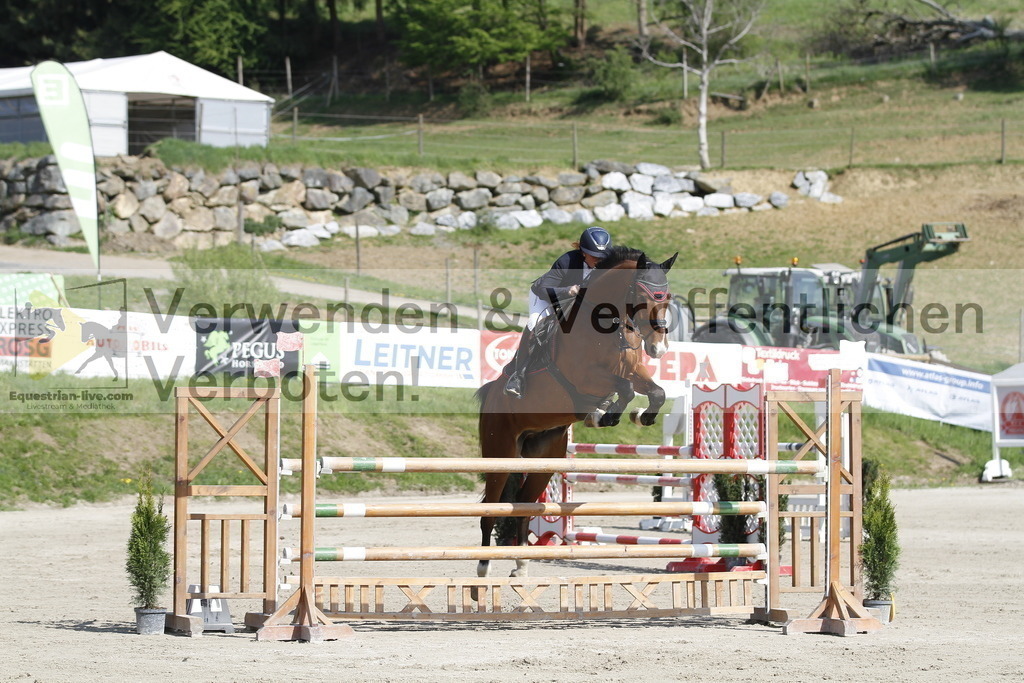 _MG_9187 | equestrian-live-com