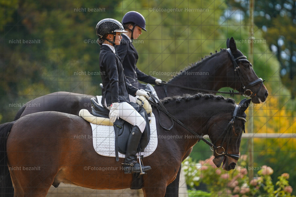 20221008-FAH00768 | Diessen am Ammersee, 2022, Dressur- und Springturnier, Reitsportbilder, Turnierfotografen Bayern, Pferdefotografen, Fotoagentur Herrmann, Turnierbilder