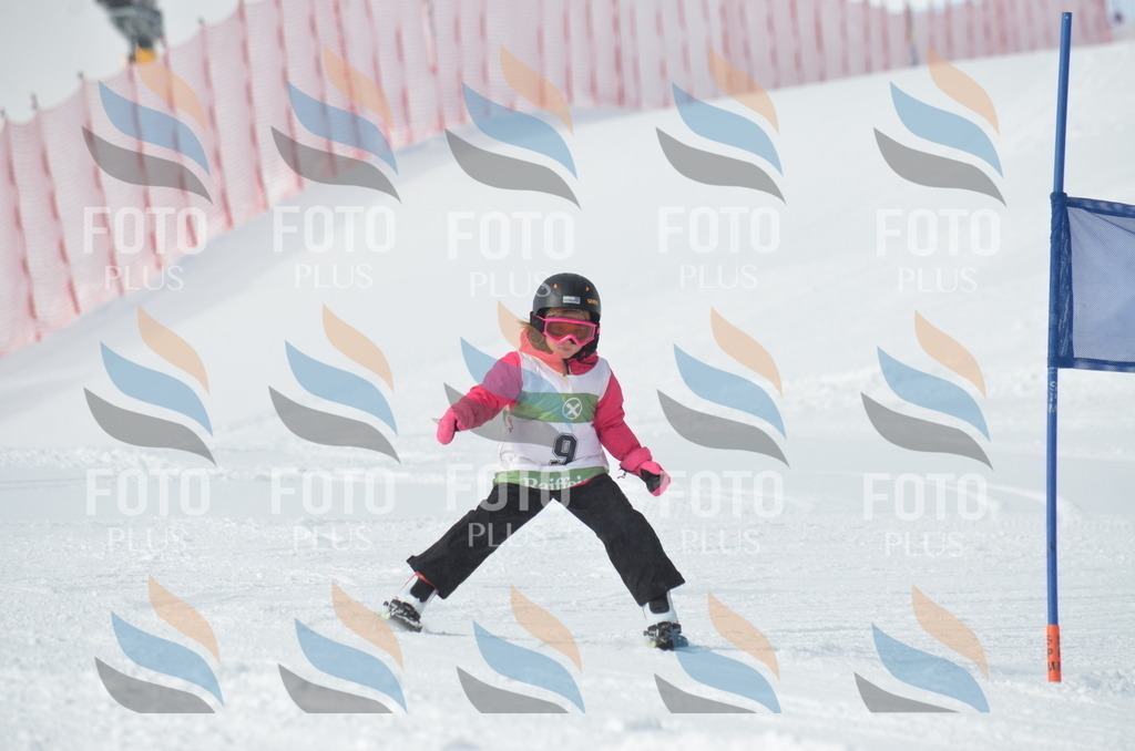 D8509 | holidayphoto