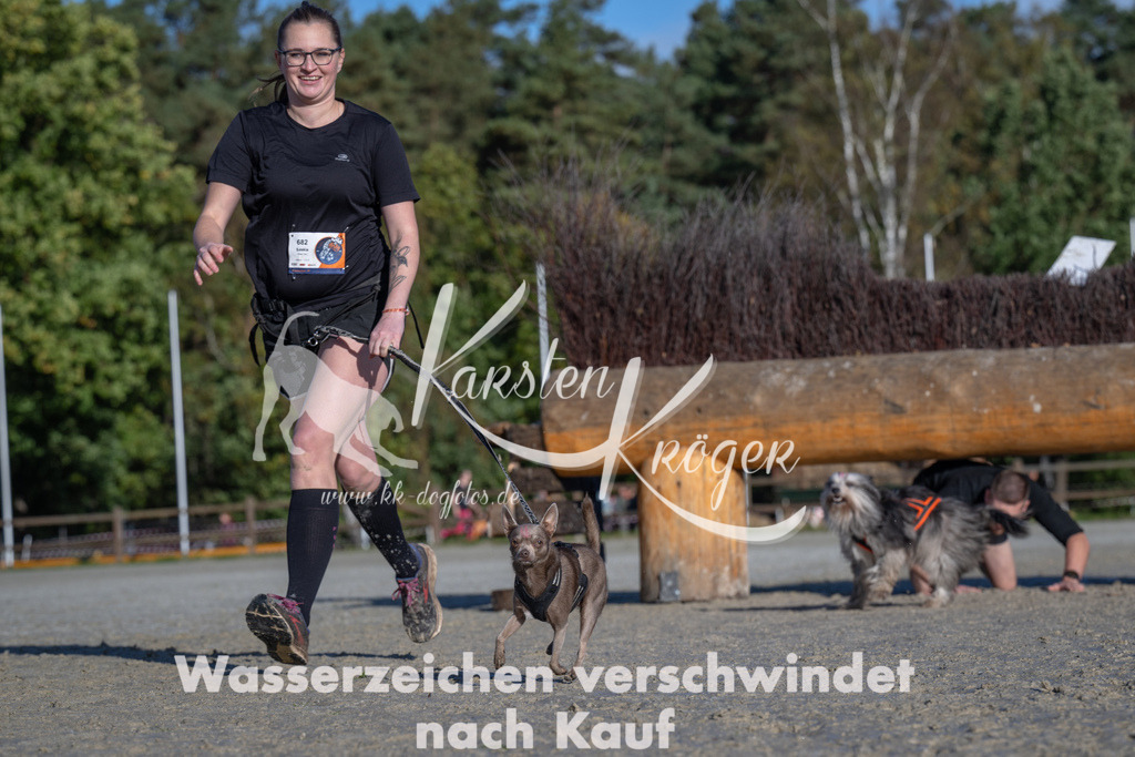 1049-_ZZ92867 | kk-dogfotos