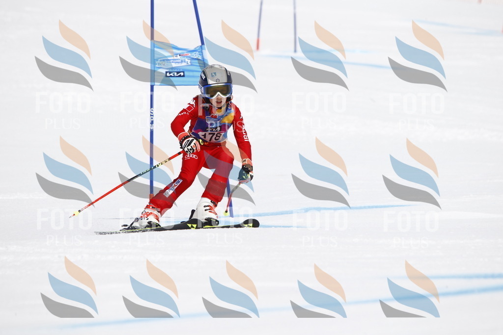 _U3G4687 | holidayphoto