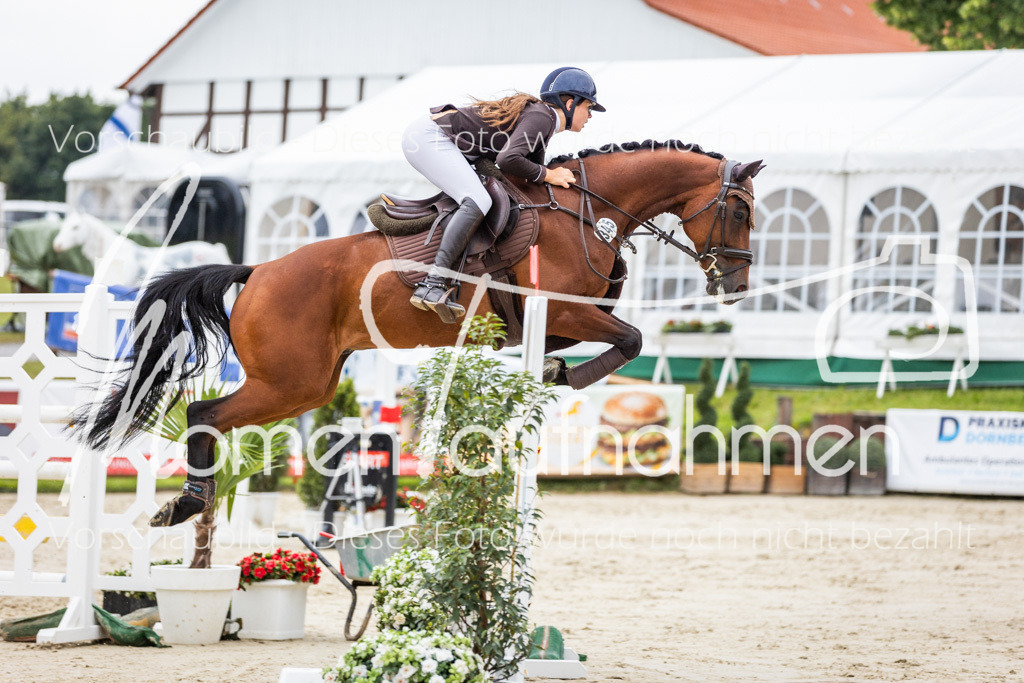 BHO-2PhSpr-M-206 | MomenTaufnahmen Pferdesportfotos