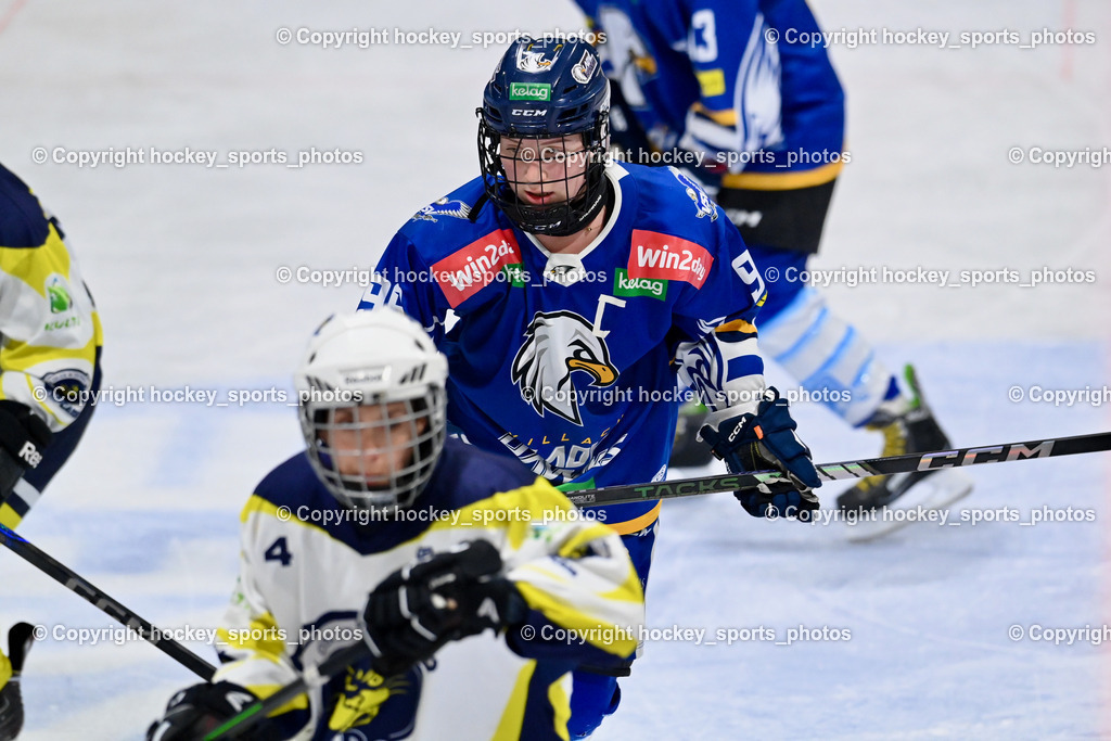 LADY HAWKS vs. WILDCATS PATERNION | #98 Walluschnig Nadine Ramona LADY HAWKS, LADY HAWKS vs. WILDCATS PATERNION, LADY HAWKS vs. WILDCATS PATERNION am 12.03.2025 in Steindorf (Ossiachersee Halle), Austria, (Photo by Bernd Stefan)