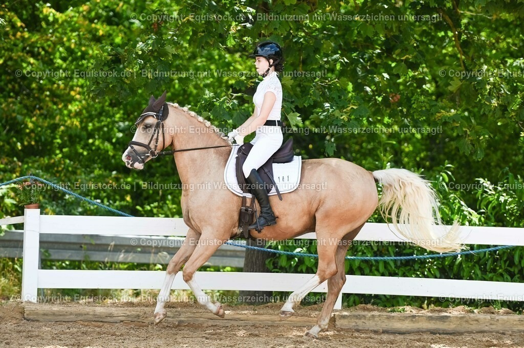 20230715_09_Dressur-WB_0500 | equistock