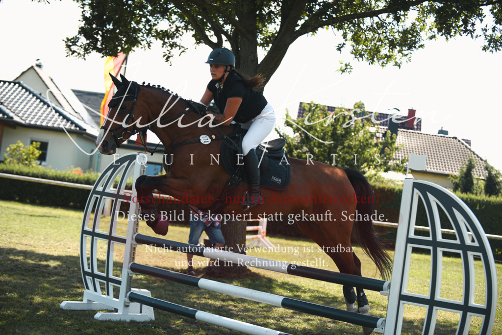 DSC_7087 | Pferde- und Turnierfotografie in Westsachsen. Pferdeportraits, Auftragszeichnungen und intuitive Kunst.