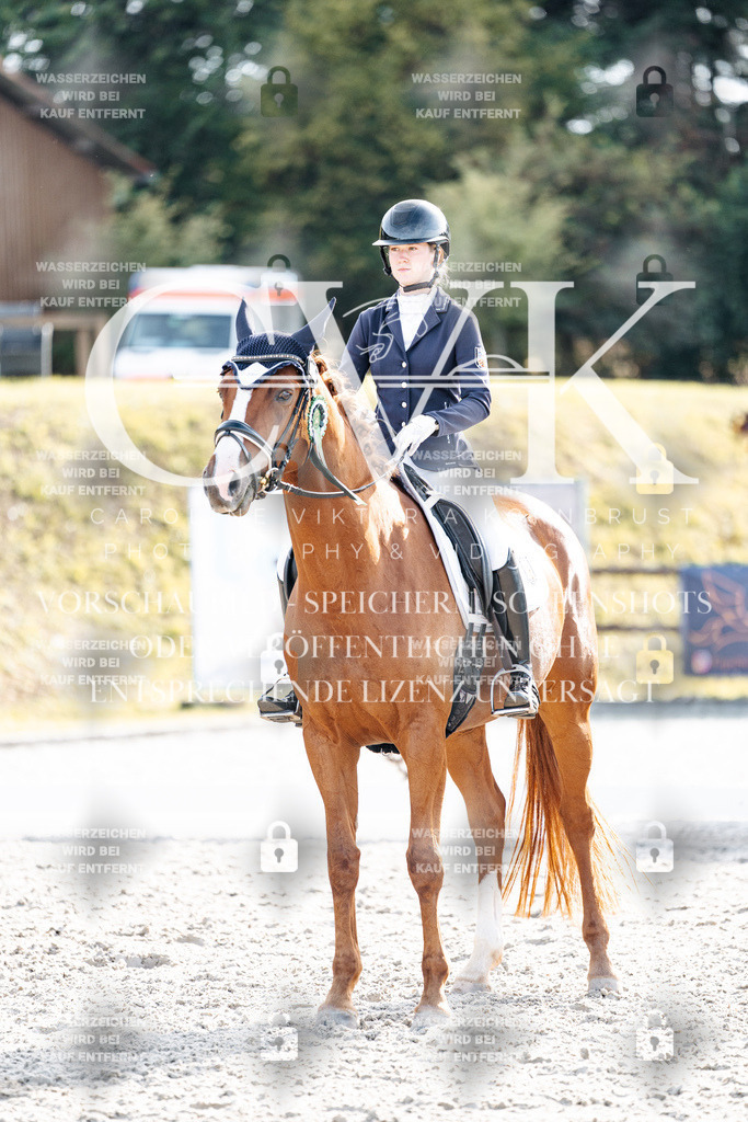 CK901753 | Turnierfotografie Pferdefotografie Trier Rheinland-Pfalz Pferdesport Reitsport Tierfotografie Sportfotografie Pferdevideo Pferdevideografie Equestrianvideography equestrianphotography  - Realisiert mit Pictrs.com