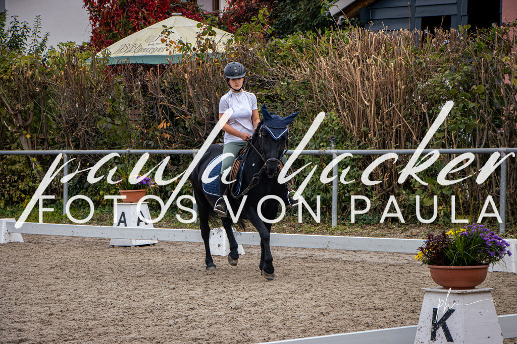 IMG_9394 | Erleben Sie dynamische Sport- und emotionale Tierfotografie in Süddeutschland mit Fotos von Paula. Spezialisiert auf Pferde- und Hundefotografie sowie Sportevents. Kontaktieren Sie mich für einzigartige und ausdrucksstarke Bilder Ihrer besonderen Momente. - Realisiert mit Pictrs.com
