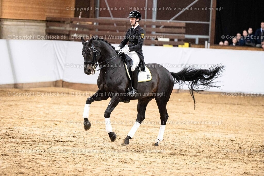 20260307_Hengstvorstellung-Marbach_0493 | equistock