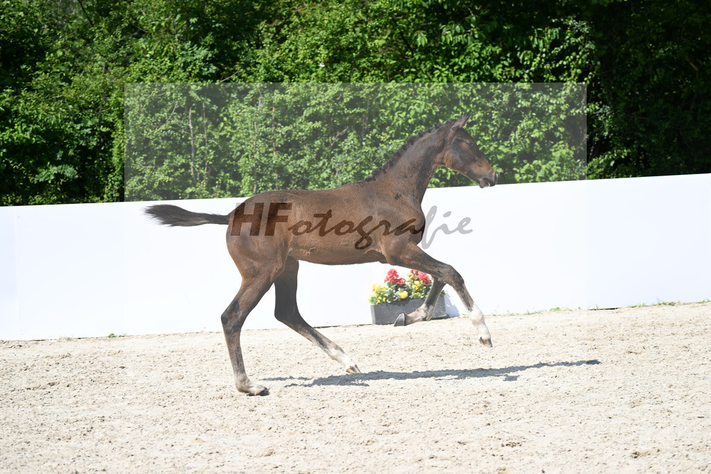 Uni I x Chezarro_HF_Wittlinger_13251660 | hf-fotografie - Realizzato con Pictrs.com