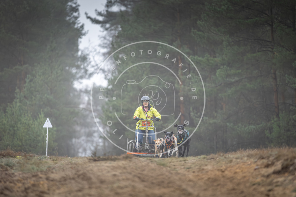 Pfotenfotografie_DV3A0370 | Hundefotografie, Tierfotograf, Pfotenfotografie, Fotoshooting Hund, Hunde Portrait, Hundesport, Hundeportraits, Heideshooting, Hunde, Sportfotograf, Hundefotograf, Turnierhundsport, THS,  - Realisiert mit Pictrs.com