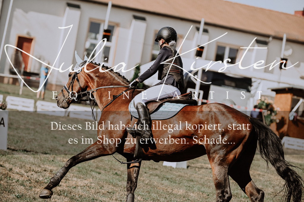 DSC_9413 | Pferde- und Turnierfotografie in Westsachsen. Pferdeportraits, Auftragszeichnungen und intuitive Kunst.