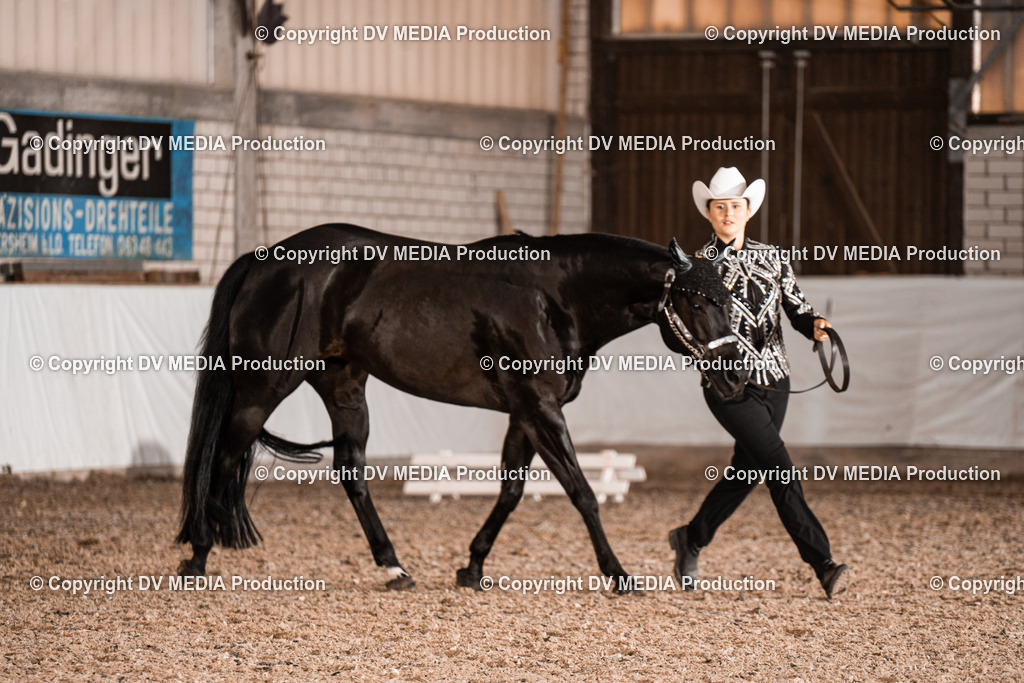 ZH200175 | dv-media-shop - Realisiert mit Pictrs.com