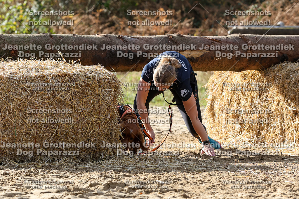 Dog Paparazzi - Strongdog 10-25-5838 | Dog Paparazzi Jeanette Grottendiek Fotografie & Videografie - Realisiert mit Pictrs.com