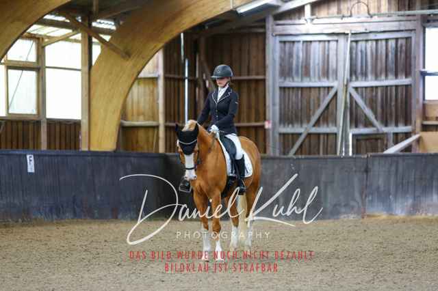 IMG_0224 | Turniersportfotografie; Pferdefotografie; Dressurfotografie