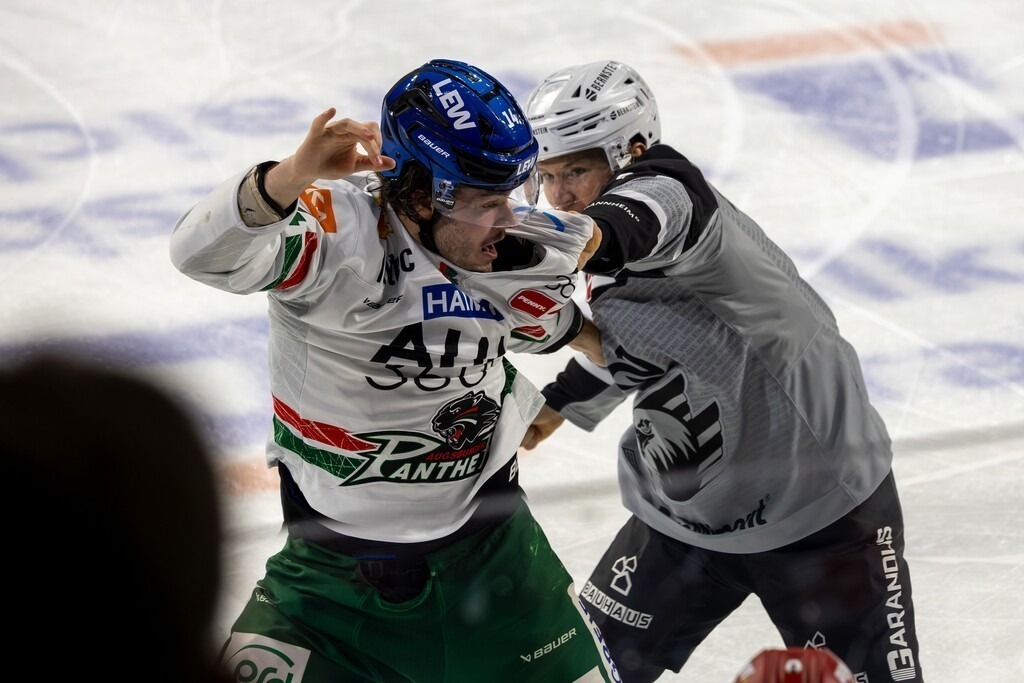 DEL, Deutsche Eishockey Liga Saison 2025/26, 26. Spieltag: Adler Mannheim gegen Augsburger Panther | DEL, Deutsche Eishockey Liga Saison 2025/26, 26. Spieltag: Adler Mannheim gegen Augsburger Panther - Realisiert mit Pictrs.com