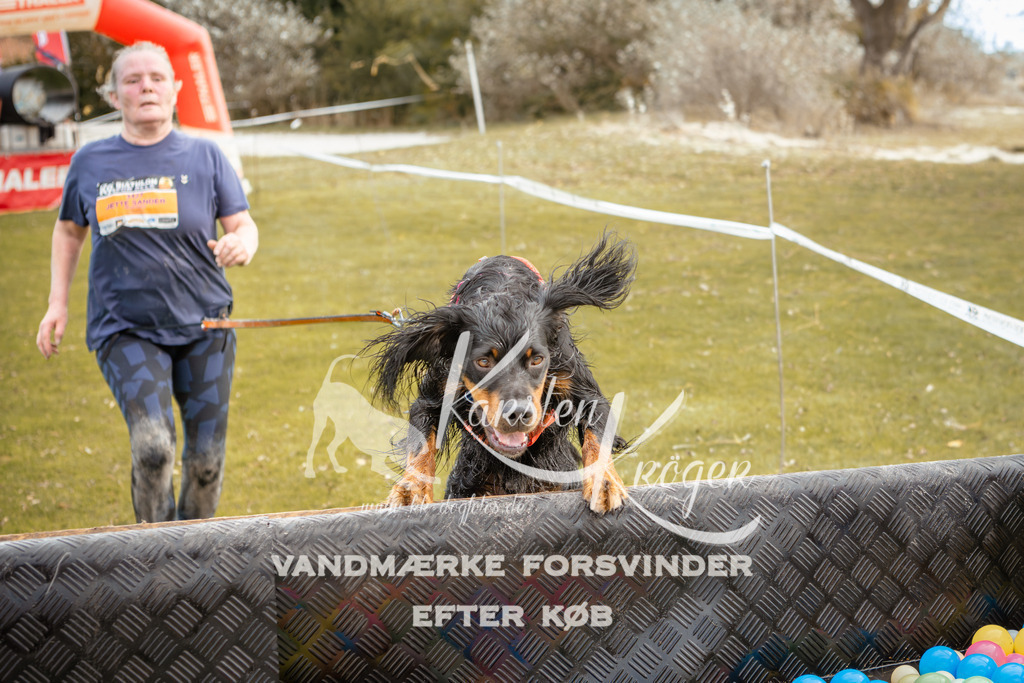 1347_ZZ92191-2 | kk-dogfotos