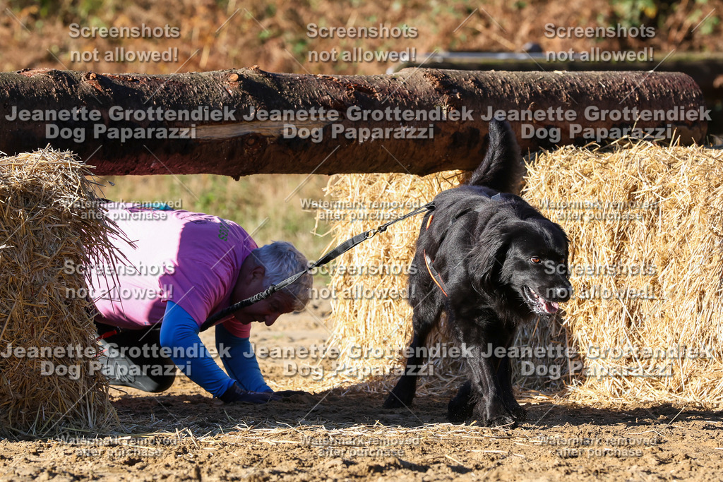 Dog Paparazzi - Strongdog 10-25-1640 | Dog Paparazzi Jeanette Grottendiek Fotografie & Videografie - Realisiert mit Pictrs.com
