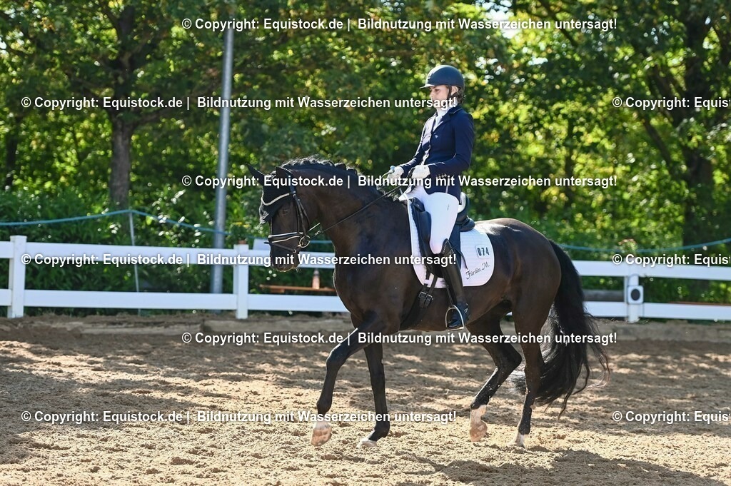 20230715_06_Dressurpferdeprfg. Kl.A_0264 | equistock