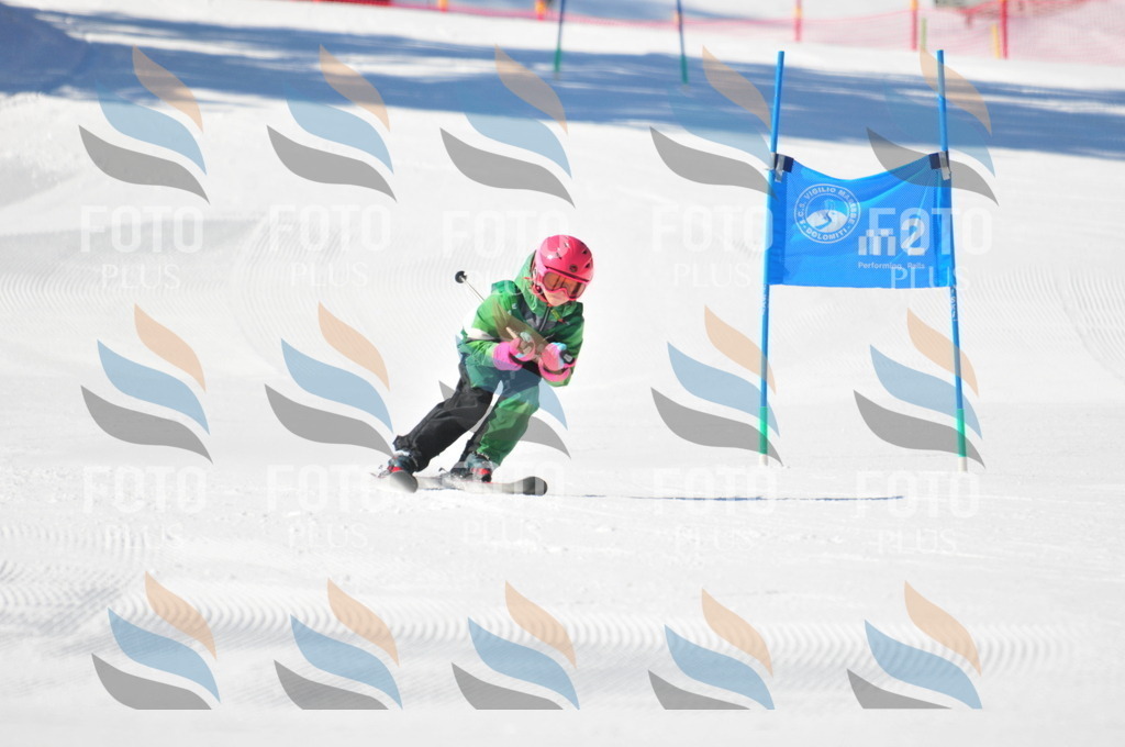 C2765 | holidayphoto