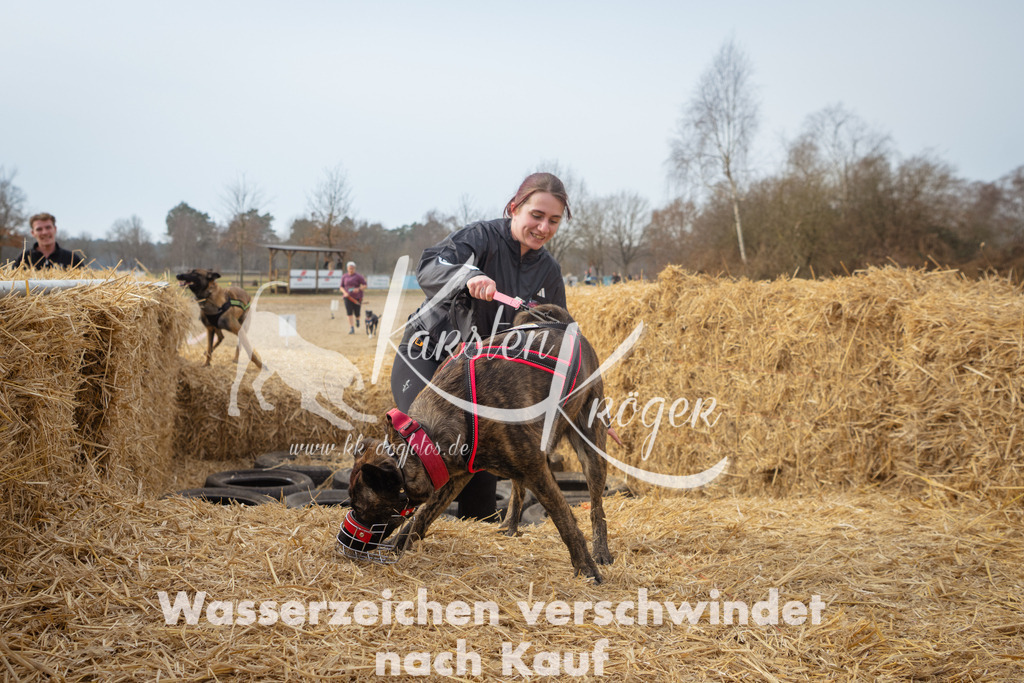1048_ZZ99468 | kk-dogfotos