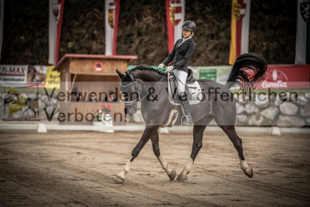 DSC_8191 | equestrian-live-com