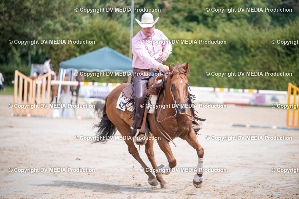 ZS3_5272 | dv-media-shop - Realisiert mit Pictrs.com