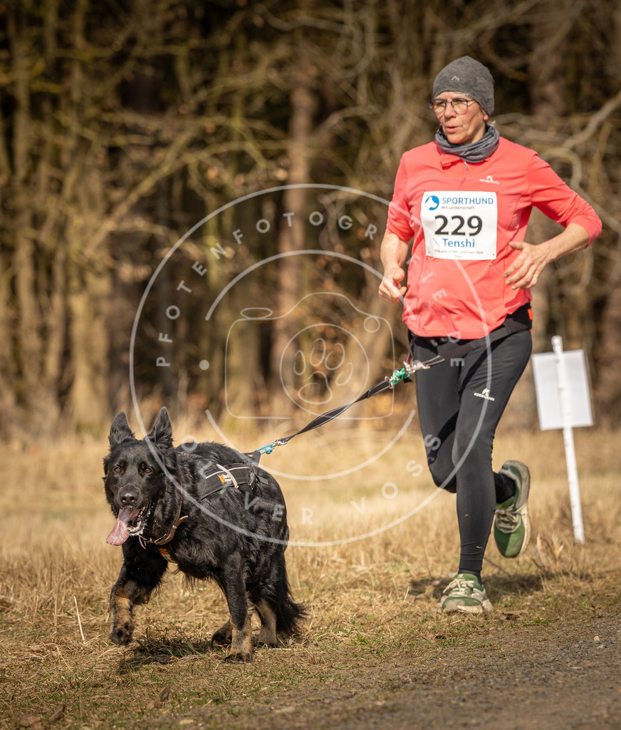 DV3A5481 | Hundefotografie, Tierfotograf, Pfotenfotografie, Fotoshooting Hund, Hunde Portrait, Hundesport, Hundeportraits, Heideshooting, Hunde, Sportfotograf, Hundefotograf, Turnierhundsport, THS,  - Realisiert mit Pictrs.com