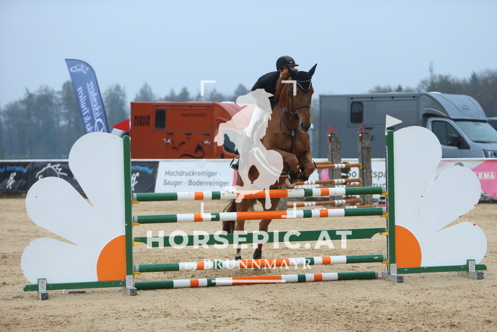 DL2Q6868 | Willkommen bei Brunnmayr - Design & Fotografie – Ihrem Spezialisten für Reitturniere und Pferdeveranstaltungen in Oberösterreich, Salzburg und Bayern! Seit über 17 Jahren sind wir leidenschaftlich dabei.