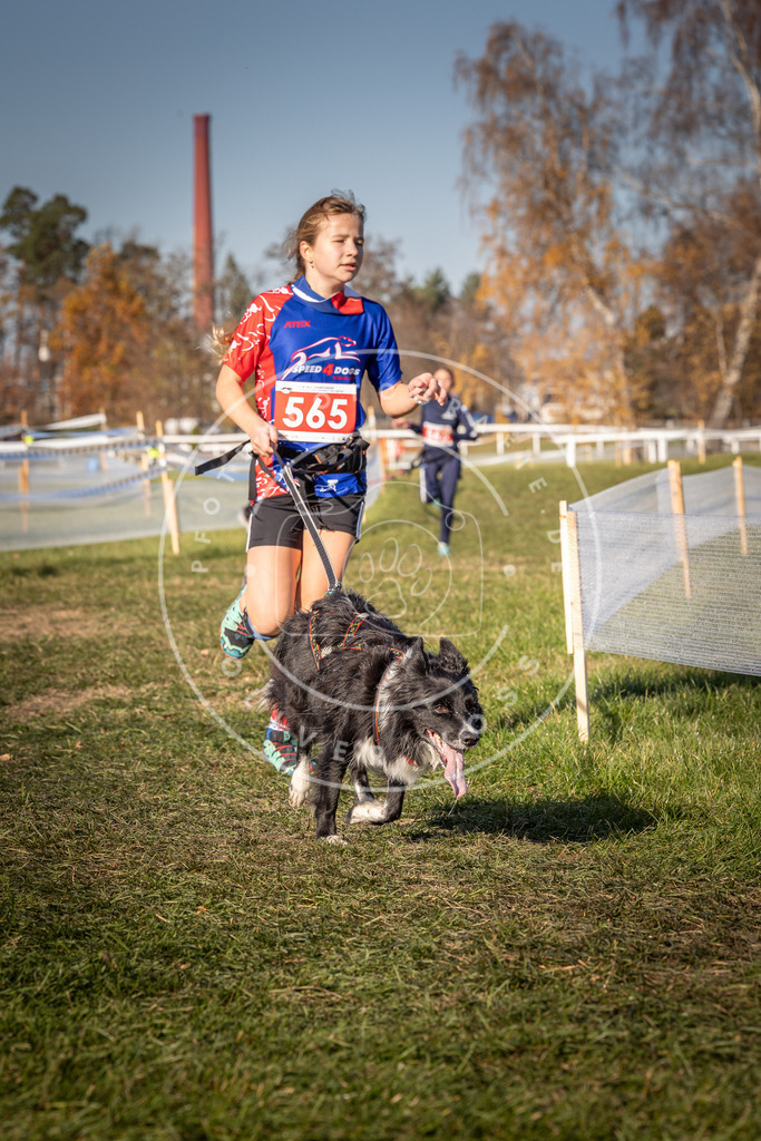 CaniXpix_0L8A7939 | Hundefotografie, Tierfotograf, Pfotenfotografie, Fotoshooting Hund, Hunde Portrait, Hundesport, Hundeportraits, Heideshooting, Hunde, Sportfotograf, Hundefotograf, Turnierhundsport, THS,  - Realisiert mit Pictrs.com