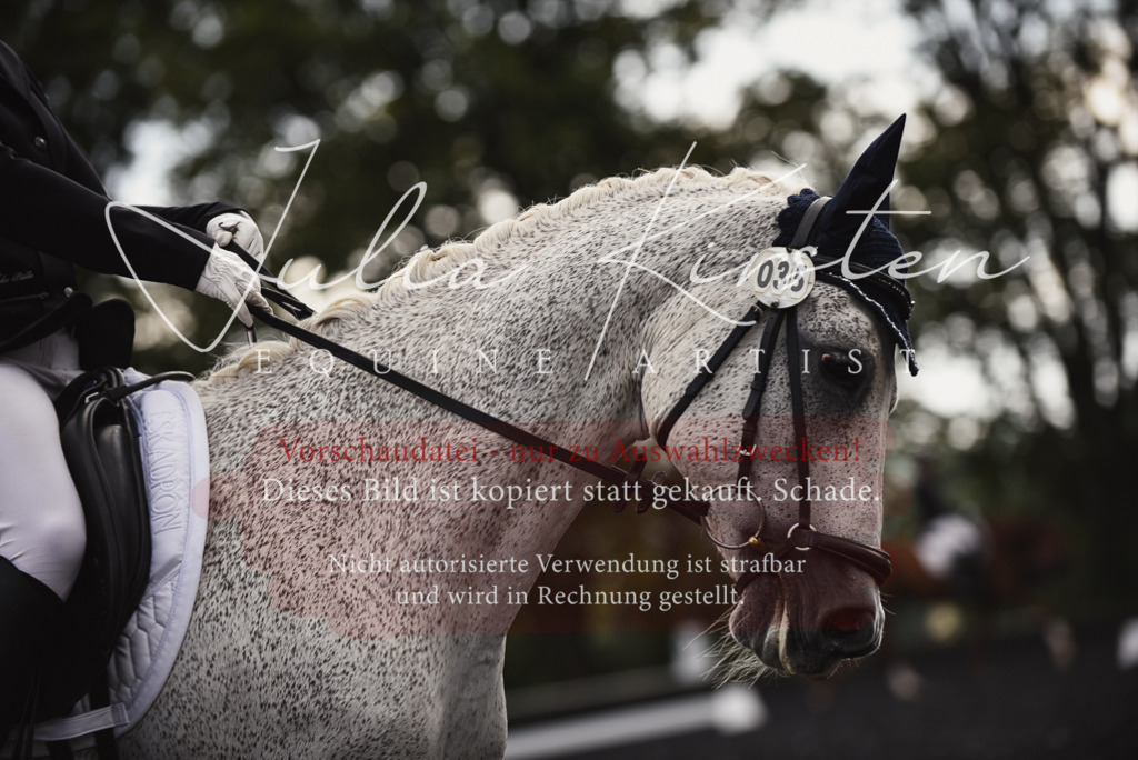 DSC_3970 | Pferde- und Turnierfotografie in Westsachsen. Pferdeportraits, Auftragszeichnungen und intuitive Kunst.