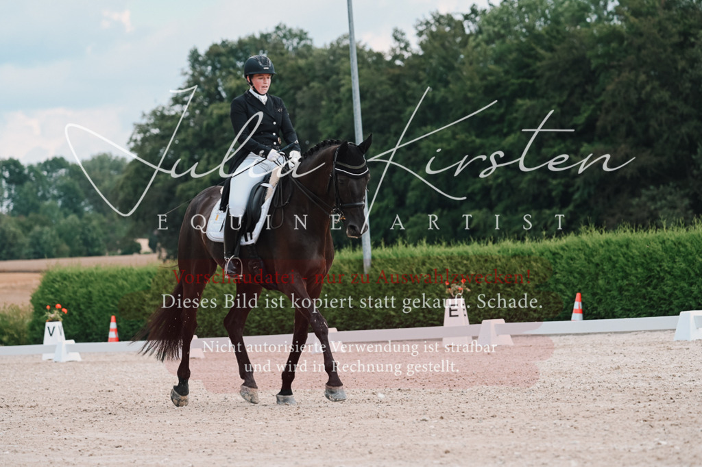 DSC_4244 | Pferde- und Turnierfotografie in Westsachsen. Pferdeportraits, Auftragszeichnungen und intuitive Kunst.