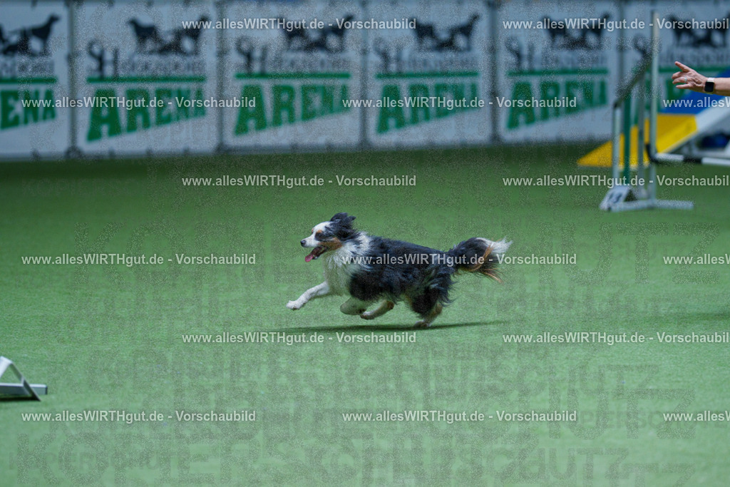@allesWIRTHgut_Tierfotografie - www.allesWIRTHgut.de - 2604251300-7R503338 | Professionelle Tierfotografie in Mönchengladbach von Daniel Wirth (allesWIRTHgut). Liebevolle & natürliche Bilder von Hunden & Katzen für unvergessliche Erinnerungen.