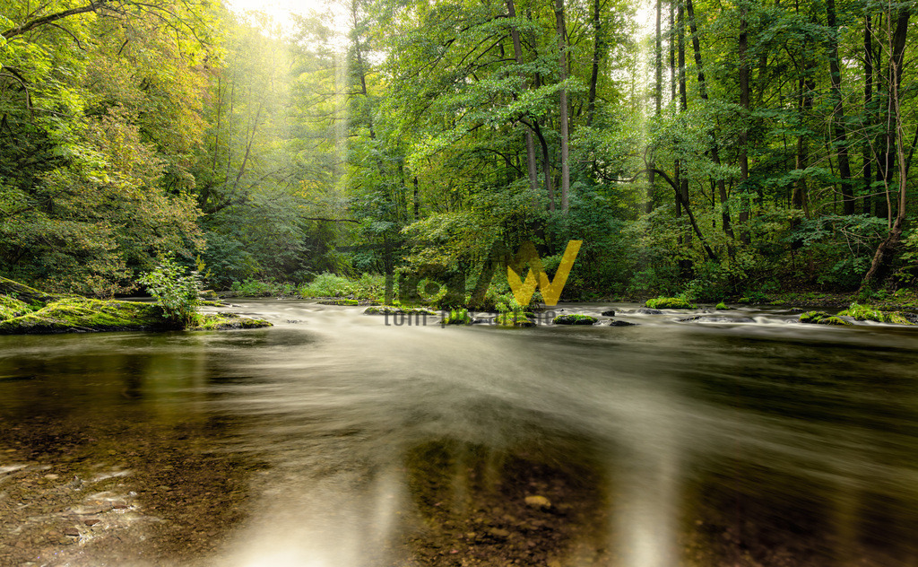 Die Bode im Bodetal im Lichtschein-Harz-Wandern-Hexenstieg | Eine Langzeitbelichtung einer Lichtung im Bodetal im Harz. Schön schient die sonne auf die Bode herab. - Realisiert mit Pictrs.com