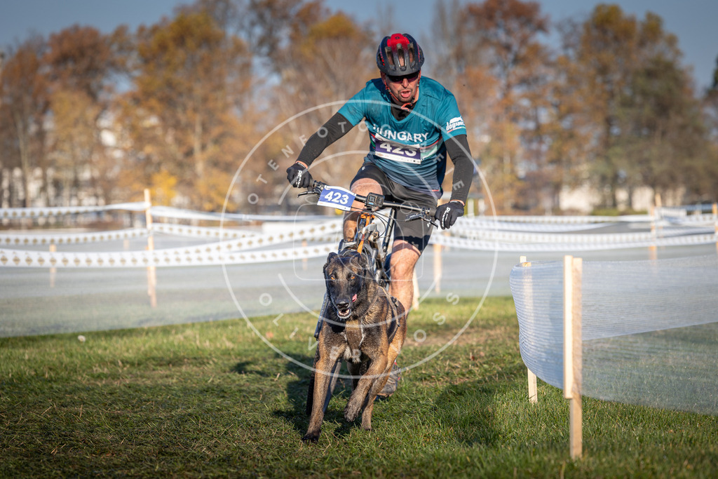 CaniXpix_0L8A4181 | Hundefotografie, Tierfotograf, Pfotenfotografie, Fotoshooting Hund, Hunde Portrait, Hundesport, Hundeportraits, Heideshooting, Hunde, Sportfotograf, Hundefotograf, Turnierhundsport, THS,  - Realisiert mit Pictrs.com