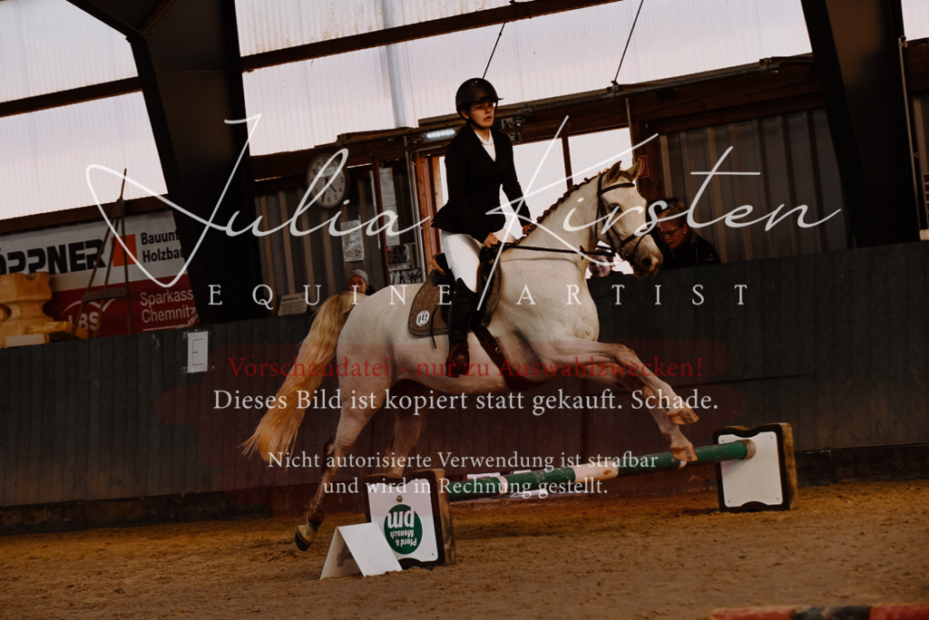 DSC_7426 | Pferde- und Turnierfotografie in Westsachsen. Pferdeportraits, Auftragszeichnungen und intuitive Kunst.