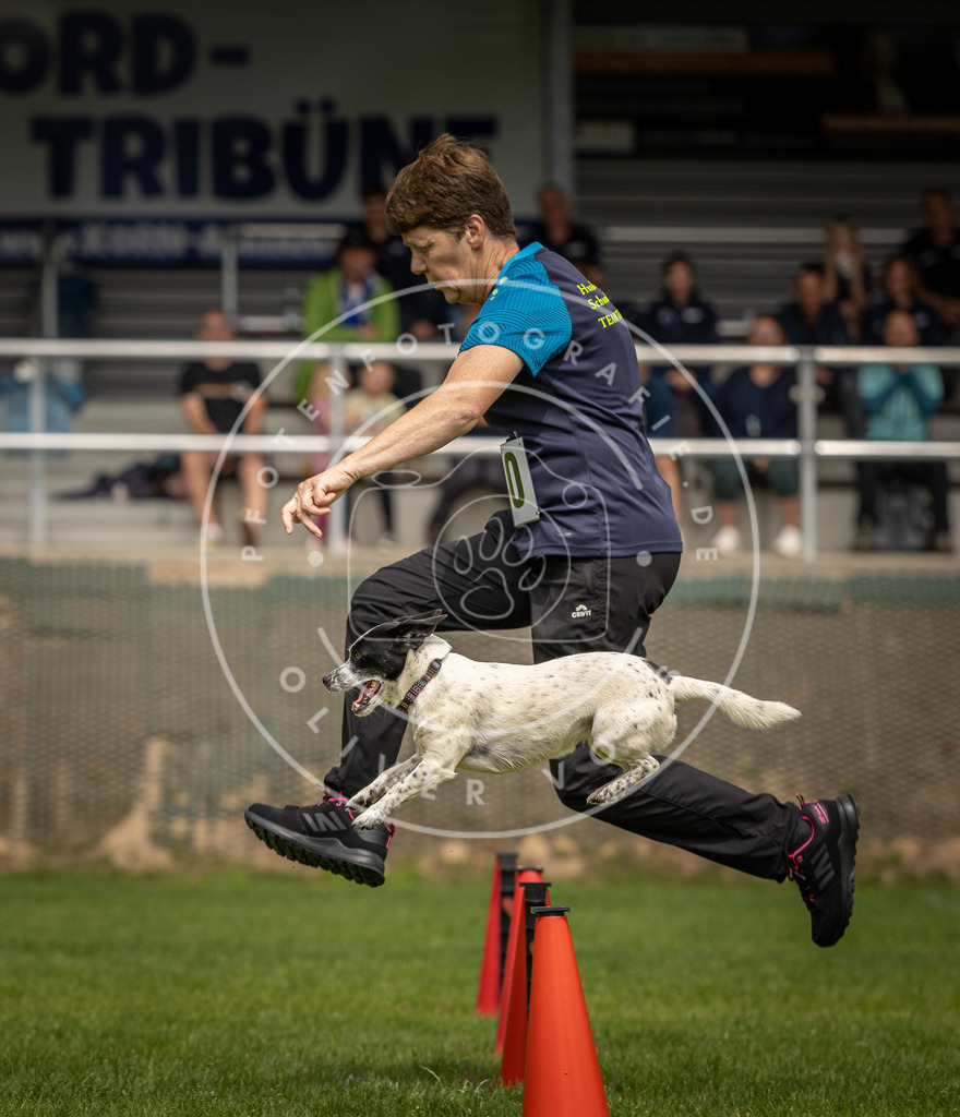 Pfotenfotografie_DV3A2029 | Hundefotografie, Tierfotograf, Pfotenfotografie, Fotoshooting Hund, Hunde Portrait, Hundesport, Hundeportraits, Heideshooting, Hunde, Sportfotograf, Hundefotograf, Turnierhundsport, THS,  - Realisiert mit Pictrs.com