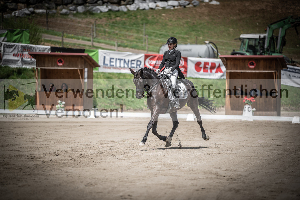 DSC_1648 | equestrian-live-com