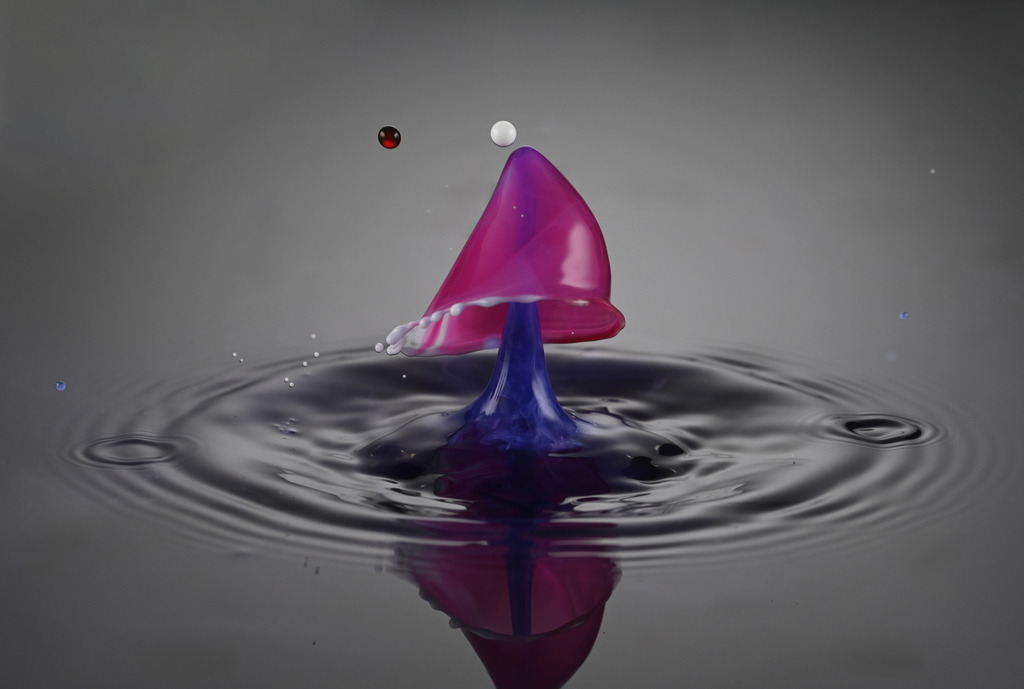 Blau und Rot in Harmonie mit weißem Akzent | Dieses faszinierende Foto zeigt eine farbenprächtige Wassertropfen-Kollision in perfektem Moment. Ein blauer Tropfen steigt aus der Wasseroberfläche empor, während ein rosafarbener Tropfen darauf trifft und eine elegante, schirmartige Form bildet. Die feinen Details der Spritzkrone und die sanften Wellen auf der Wasseroberfläche verleihen dem Bild eine künstlerische und fast surreal wirkende Ästhetik. Diese Aufnahme ist ein beeindruckendes Beispiel für Highspeed-Fotografie und die Schönheit flüchtiger Naturmomente.Eine wunderschöne Aufnahme, die gern in orthopädischen Praxen oder beim Physiotherapeuten die Wände ziert. Beruhigend und faszinierend.