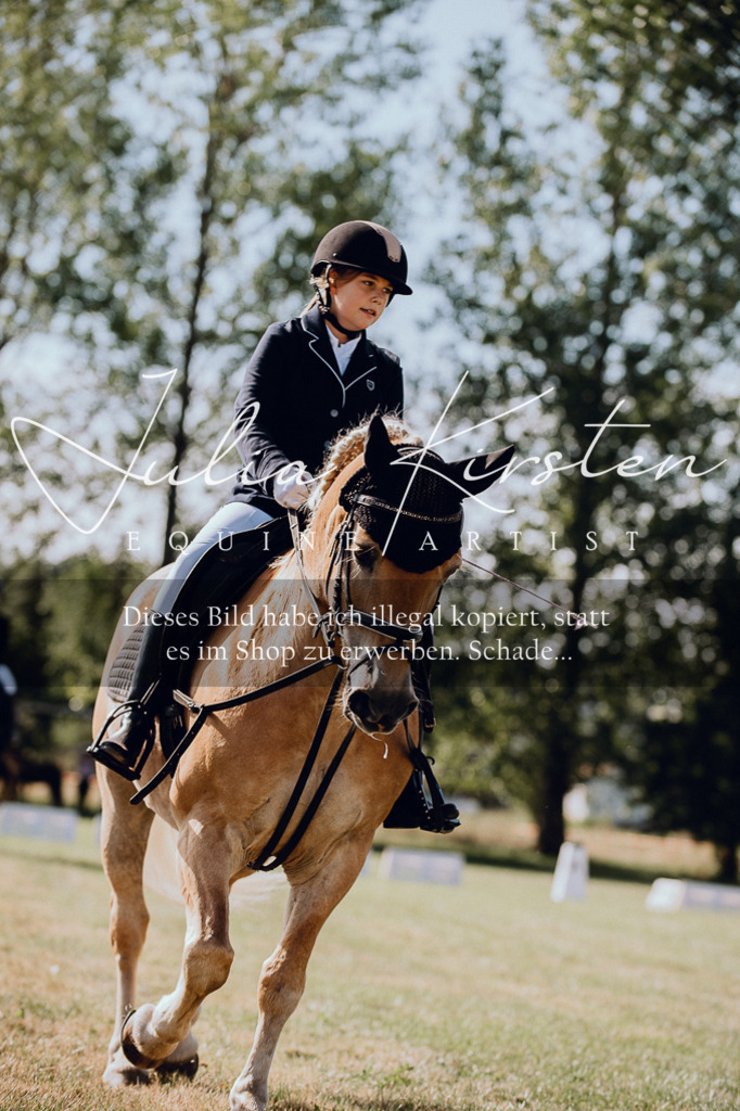 DSC_6921 | Pferde- und Turnierfotografie in Westsachsen. Pferdeportraits, Auftragszeichnungen und intuitive Kunst.