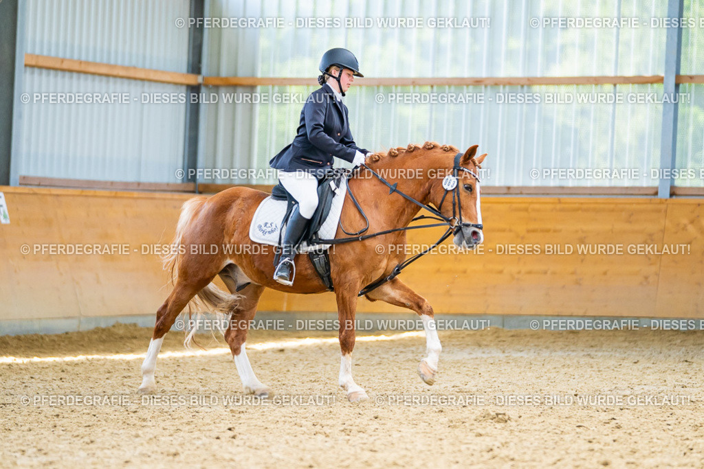 DSC09638 | Pferdegrafie