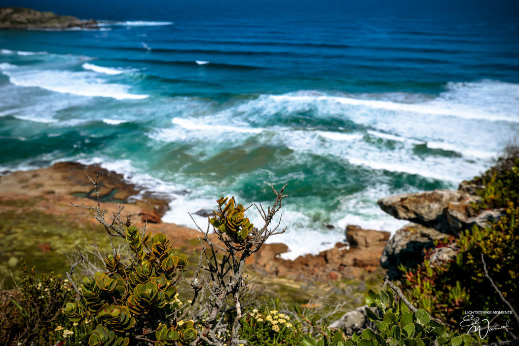 20231008-124706 SOUTHAFRIKA_-1 | Herzlich willkommen auf meiner Seite! Ich bin Elke Wallnisch, Deine Fotografin für lichtstarke Momente. Der Name steht für alles, was mich mit der Fotografie verbindet: Das Licht und seine machtvolle Wirkung auf eine Situation oder unsere Stimmung - Realisiert mit Pictrs.com