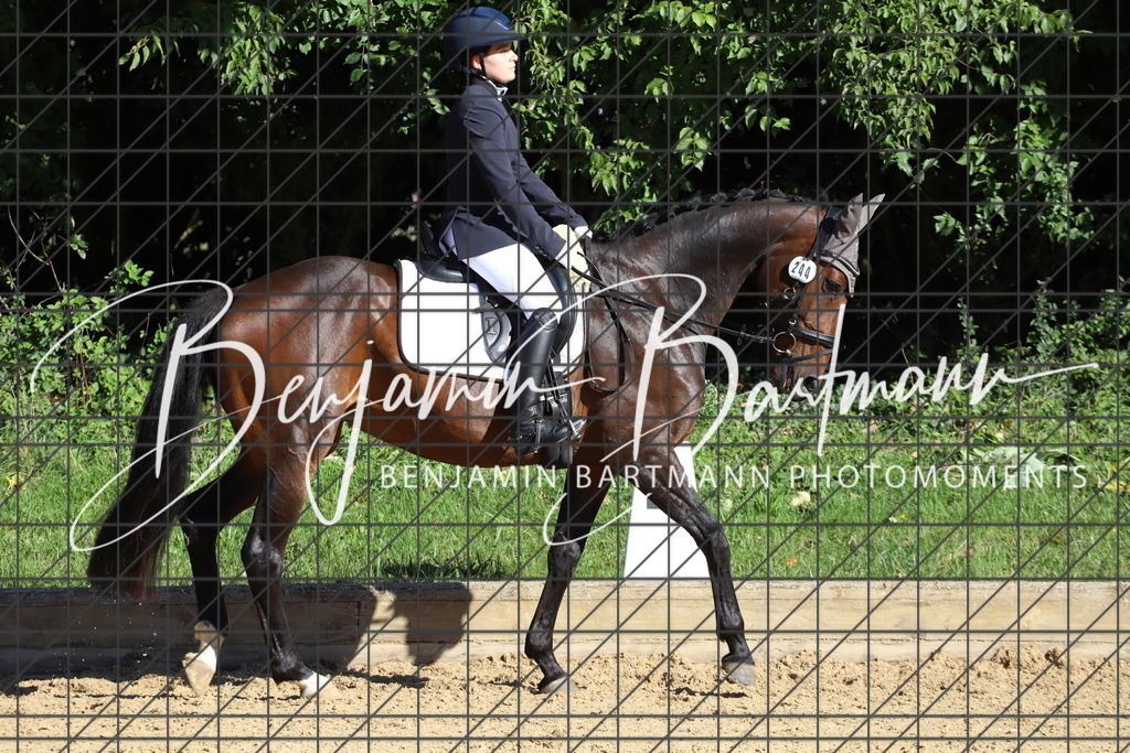 IMG_5178 | Benjamin Bartmann Photomoments