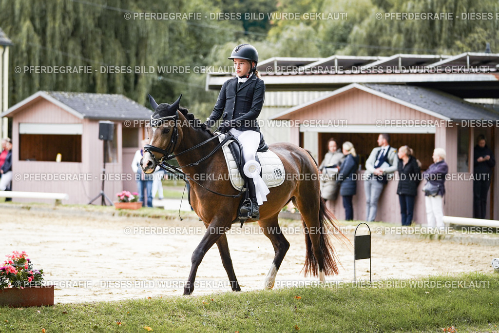 DSC05047 | Pferdegrafie